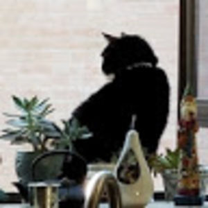 Meet your Posher, Leslie